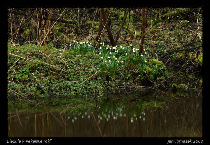 20080315_8798_small.jpeg