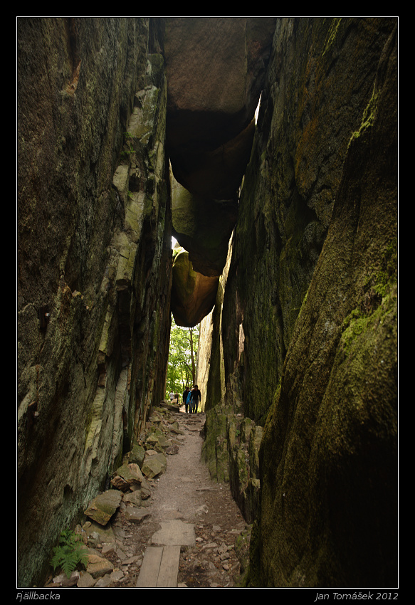 20120722_1685_small.jpeg