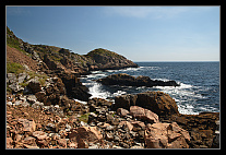 thumbs/20120723_1863_small.jpeg