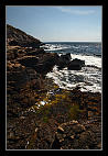thumbs/20120723_1899_small.jpeg