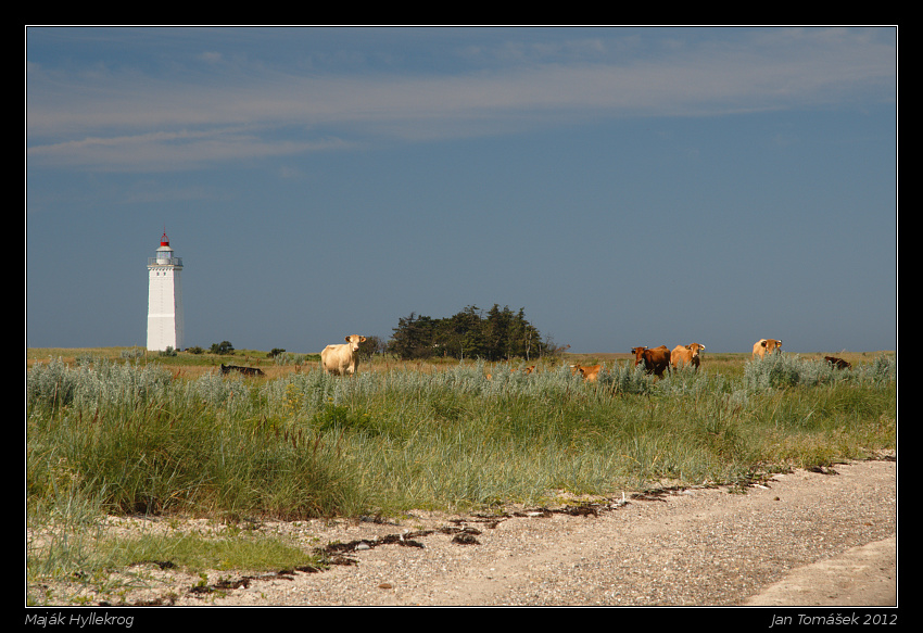20120724_1992_small.jpeg