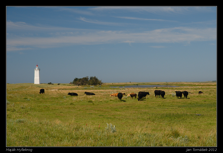 20120724_1993_small.jpeg
