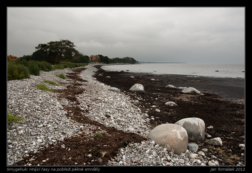 20120714_0183_small.jpeg