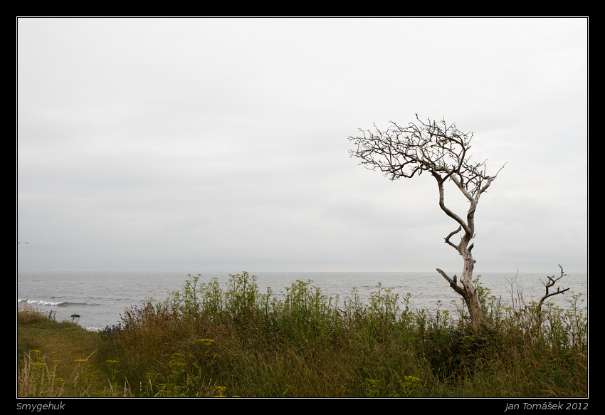 20120714_0191_small.jpeg