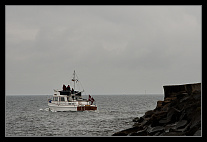 thumbs/20120714_0180_small.jpeg