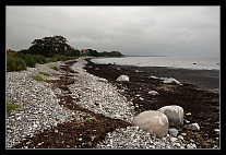 thumbs/20120714_0183_small.jpeg