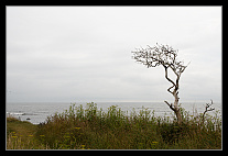 thumbs/20120714_0191_small.jpeg