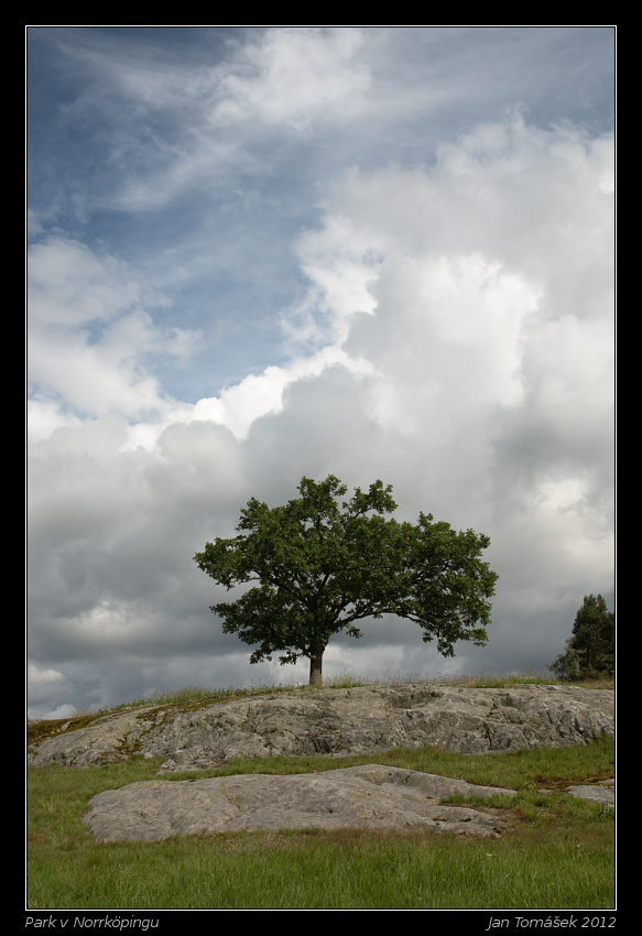 20120715_0232_small.jpeg
