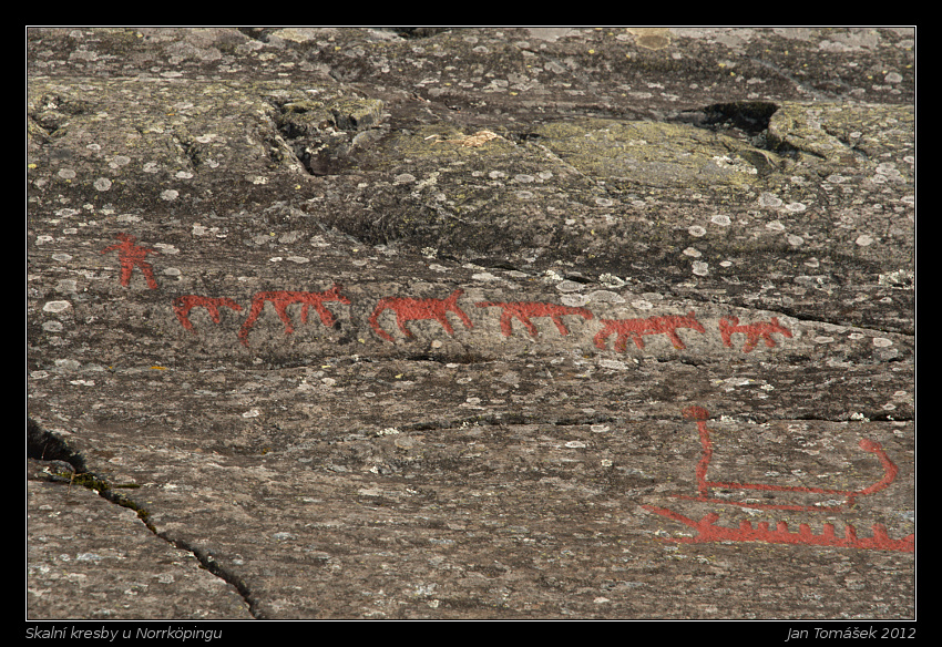 20120715_0243_small.jpeg