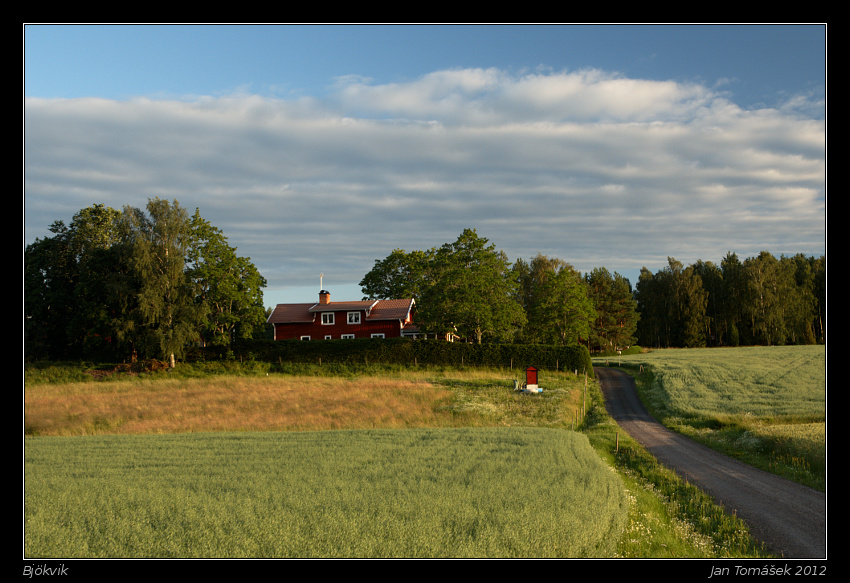 20120715_0382_small.jpeg