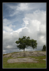 thumbs/20120715_0232_small.jpeg