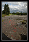 thumbs/20120715_0239_small.jpeg