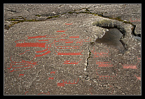 thumbs/20120715_0240_small.jpeg