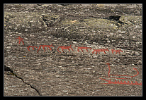 thumbs/20120715_0243_small.jpeg