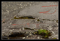 thumbs/20120715_0247_small.jpeg