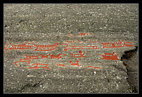 thumbs/20120715_0257_small.jpeg
