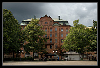 thumbs/20120715_0269_small.jpeg
