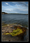 thumbs/20120715_0343_small.jpeg