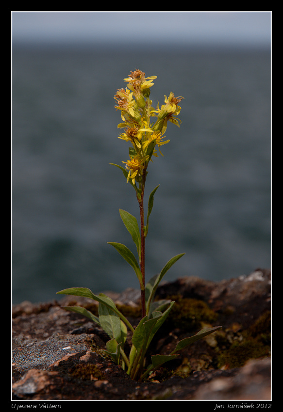 20120716_0423_small.jpeg