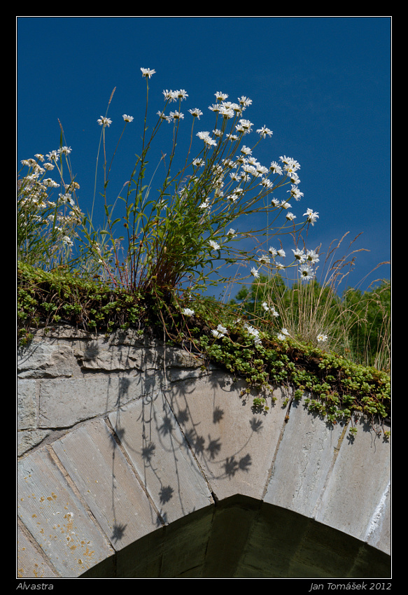 20120716_0527_small.jpeg
