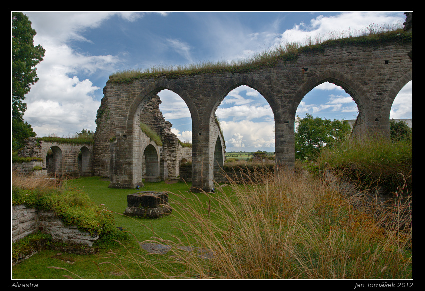 20120716_0570_small.jpeg