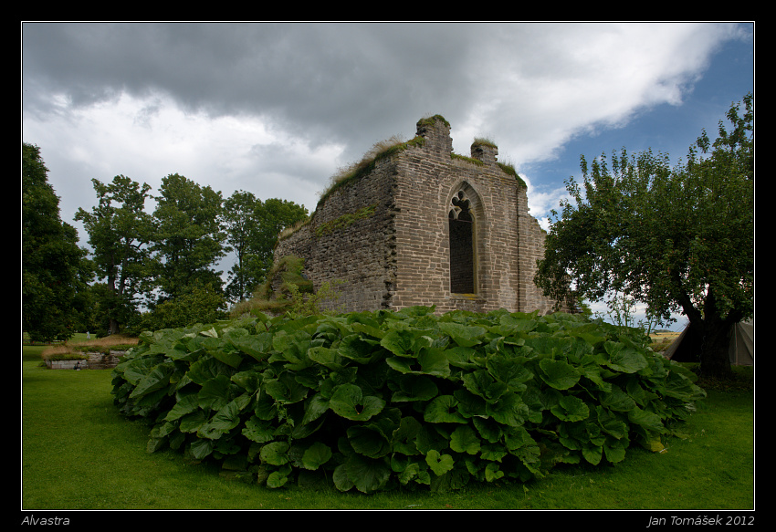 20120716_0571_small.jpeg