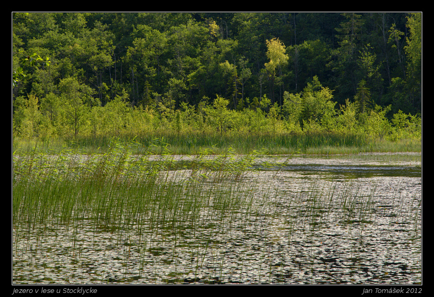 20120716_0589_small.jpeg