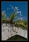 thumbs/20120716_0527_small.jpeg
