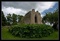 thumbs/20120716_0571_small.jpeg
