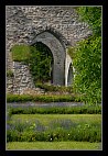 thumbs/20120716_0581_small.jpeg