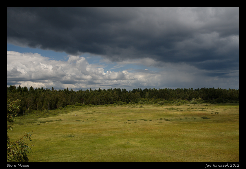 20120717_0700_small.jpeg