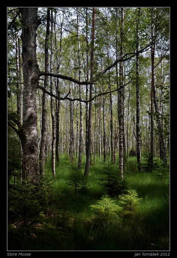 20120717_0712_small.jpeg