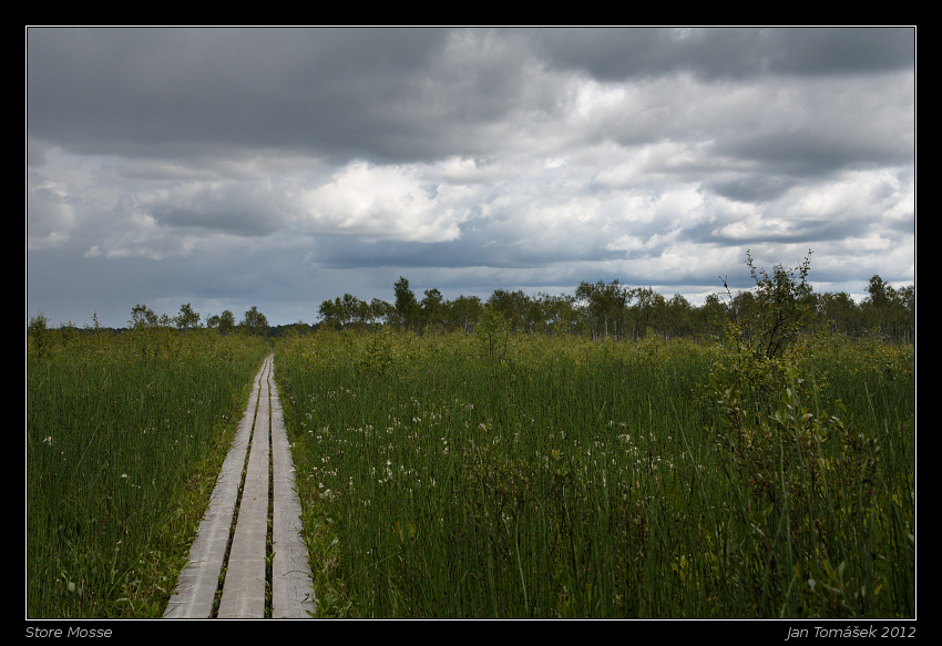 20120717_0716_small.jpeg