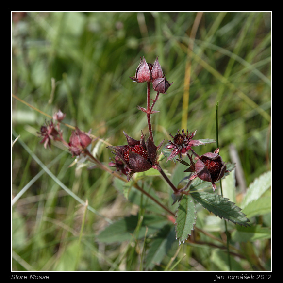 20120717_0720_small.jpeg