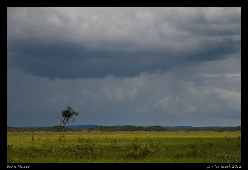 20120717_0725_small.jpeg