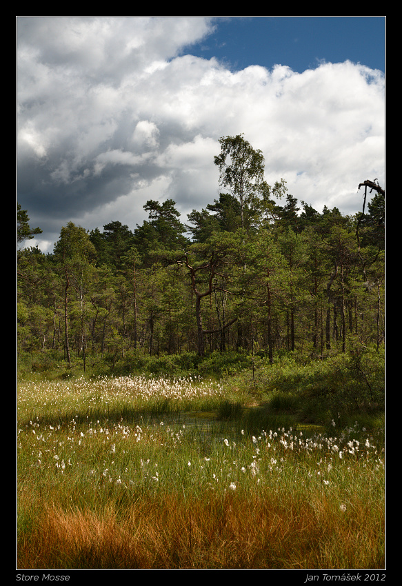 20120717_0739_small.jpeg