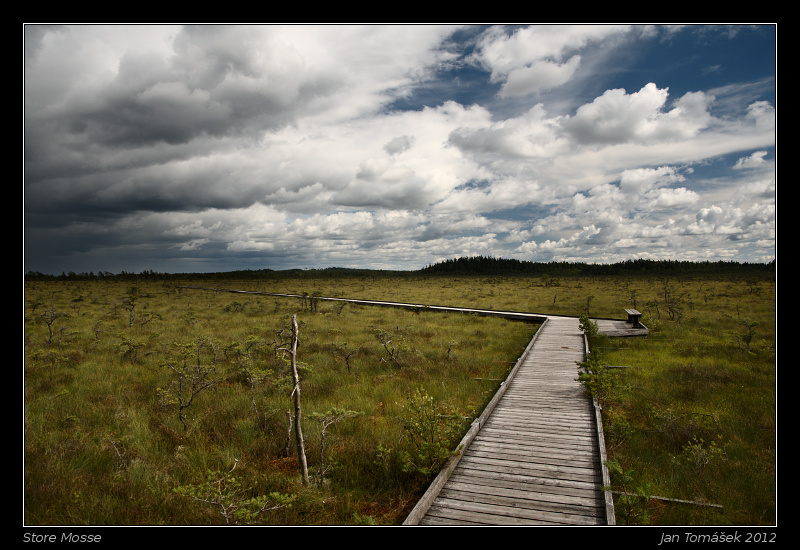 20120717_0757_small.jpeg