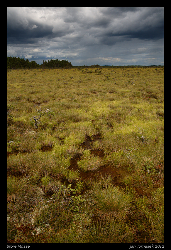 20120717_0770_small.jpeg