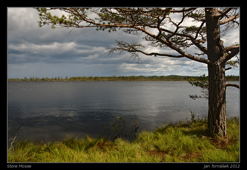 20120717_0776_small.jpeg