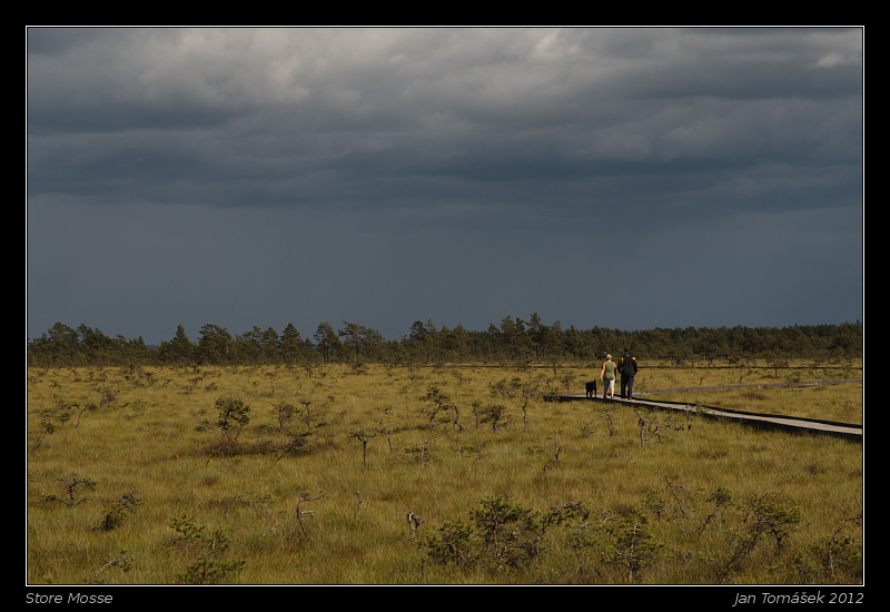 20120717_0788_small.jpeg