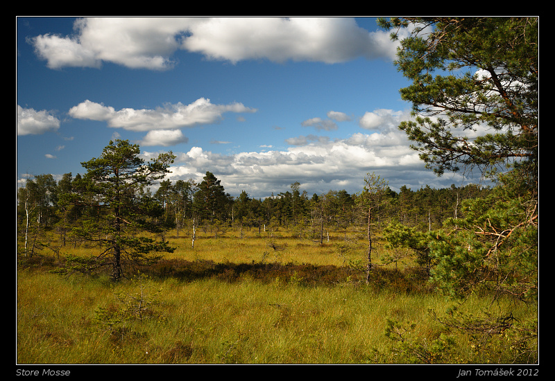 20120717_0798_small.jpeg