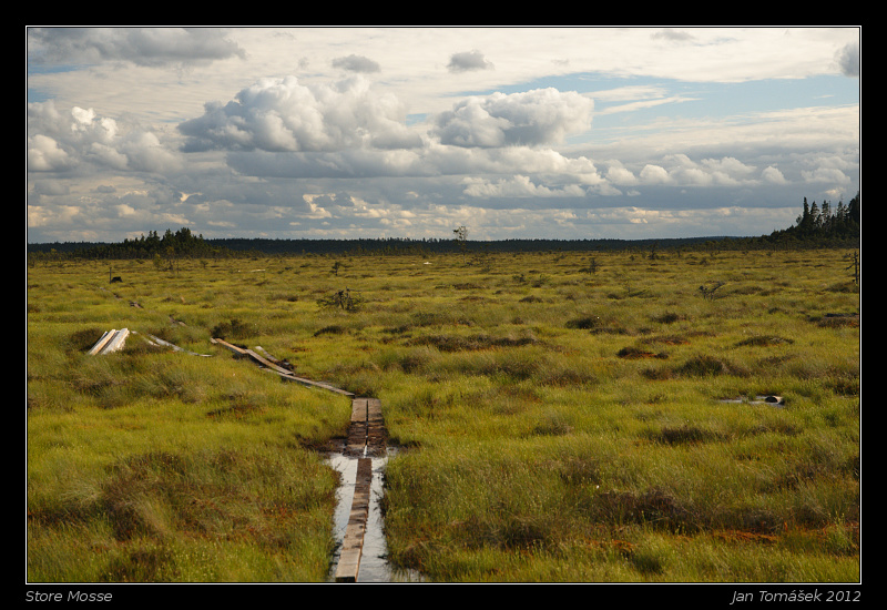 20120717_0831_small.jpeg