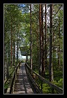 thumbs/20120717_0681_small.jpeg