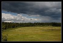 thumbs/20120717_0700_small.jpeg