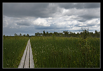 thumbs/20120717_0716_small.jpeg