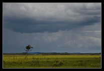 thumbs/20120717_0725_small.jpeg