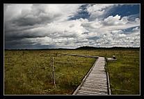 5den/thumbs/20120717_0757_small.jpeg