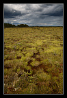 thumbs/20120717_0770_small.jpeg