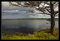 thumbs/20120717_0776_small.jpeg