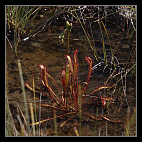 thumbs/20120717_0779_small.jpeg